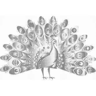 Mal med Prikker - Stolt påfugl - Uden ramme - 80 x 60 cm