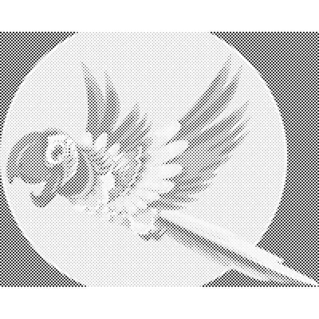 Mal med Prikker - Glad papegøje - Opspændt på ramme - 80 x 60 cm