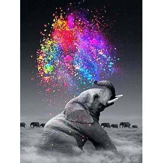 Elefant sprøjter farver - Firkantede sten - 45 x 60 cm - Lærred, sten, pen, bakke, gele