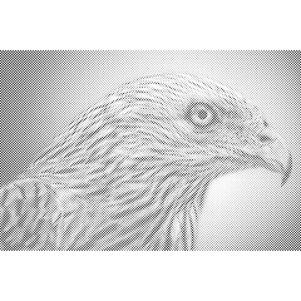 Mal med Prikker - Ørn - Opspændt på ramme - 60 x 40 cm