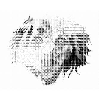 Mal med Prikker - Golden Retriever - Opspændt på ramme - 40 x 30 cm