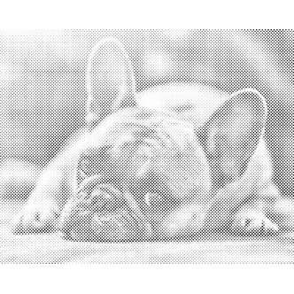 Mal med Prikker - Bulldog - Uden ramme - 100 x 80 cm