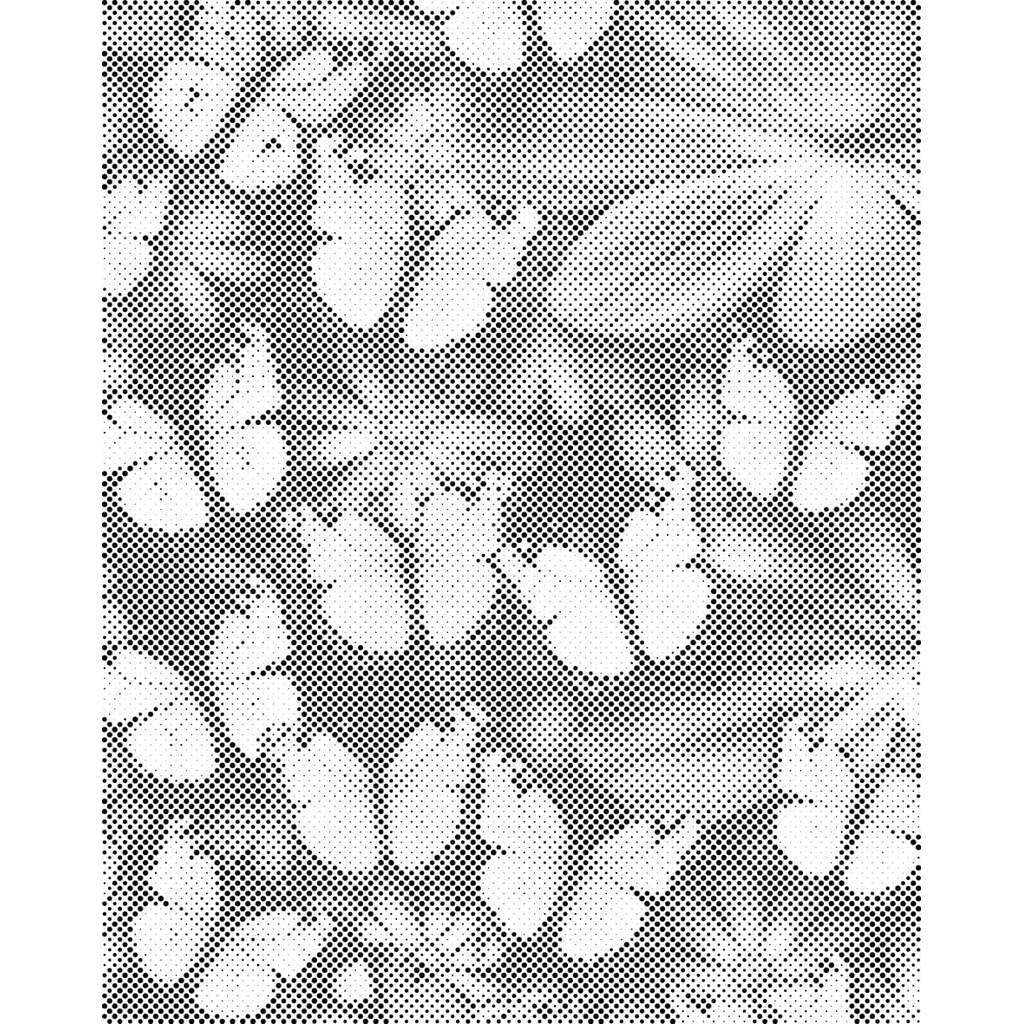 Mal med Prikker - Mange sommerfugle - Uden ramme - 30 x 40 cm