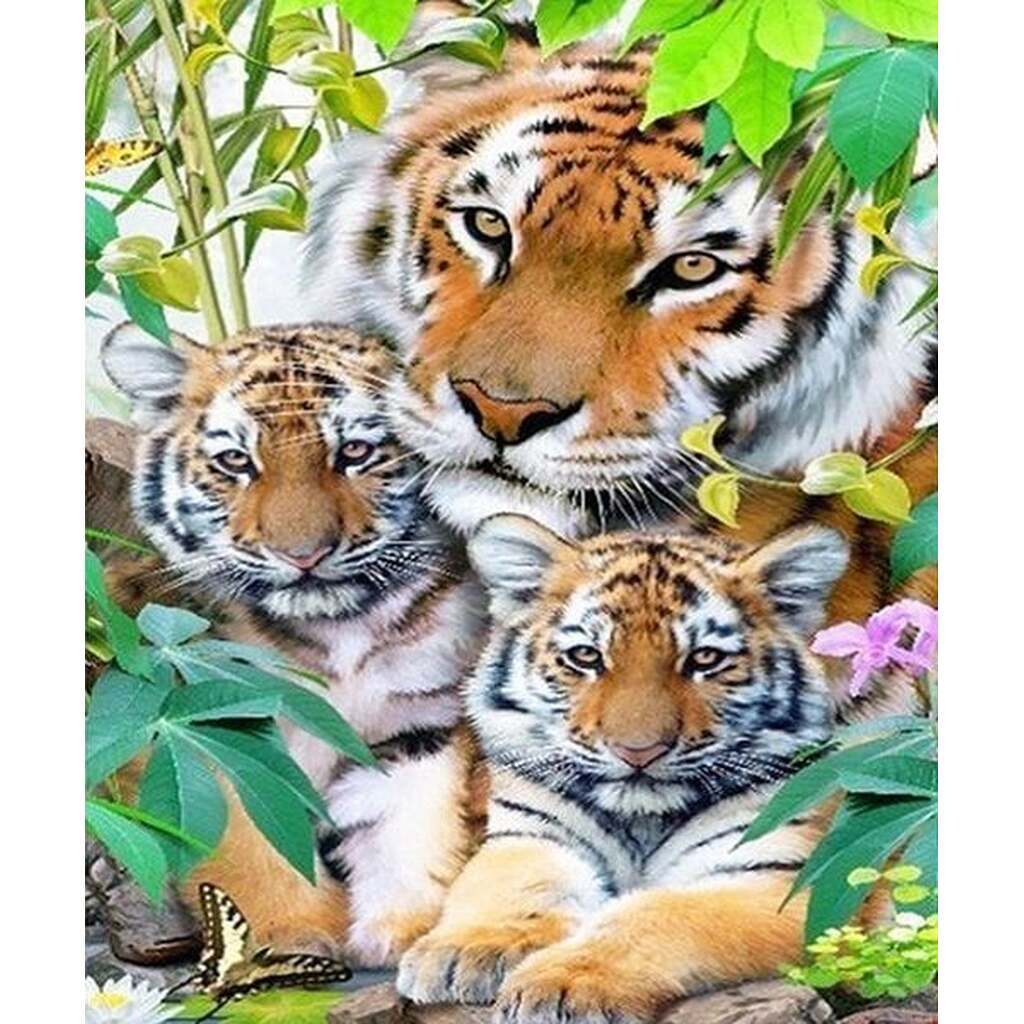 Tigerfamilie - Firkantede sten - 50 x 60 cm - Lærred, sten, pen, bakke, gele
