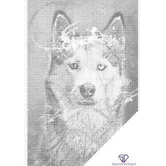Mal med Prikker - Portræt af en husky - Opspændt på ramme - 60 x 80 cm