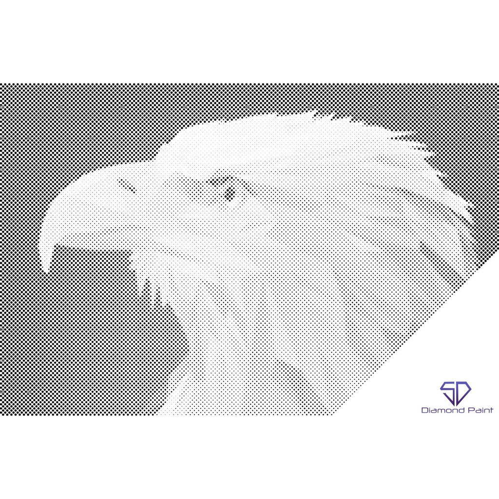 Mal med Prikker - Havørn - Opspændt på ramme - 80 x 60 cm