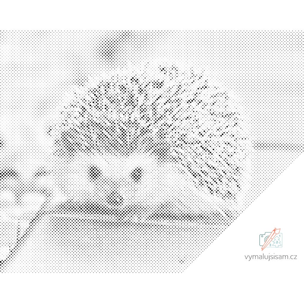 Mal med Prikker - Pindsvin - Uden ramme - 80 x 60 cm