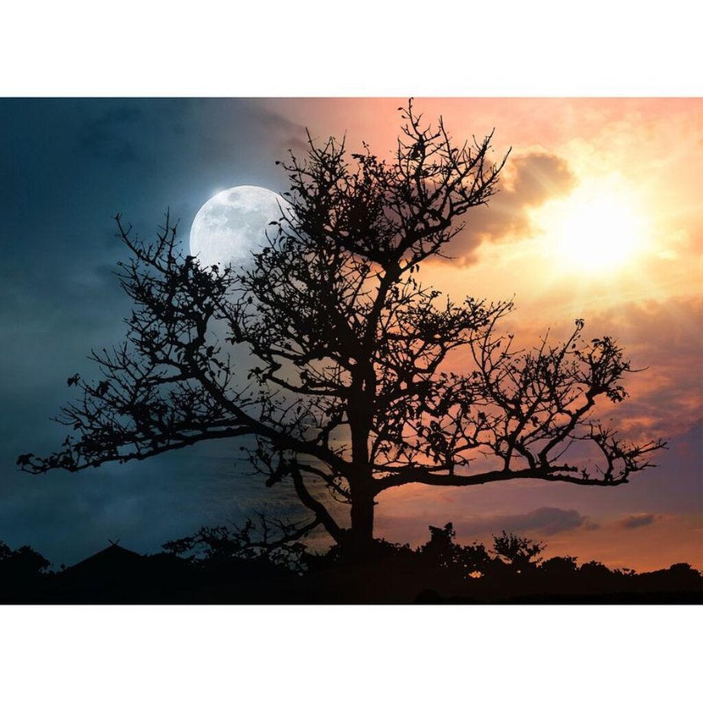 Måne og sol - Premium - Firkantede sten - 60 x 40 cm - Lærred, sten, pen, bakke, gele, poser til stenene - med-saml-selv-ramme