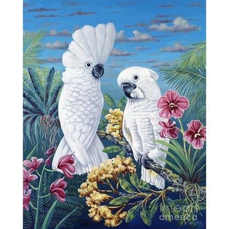 2 kakaduer - Runde sten - 60 x 75 cm - Lærred, sten, pen, bakke, gele