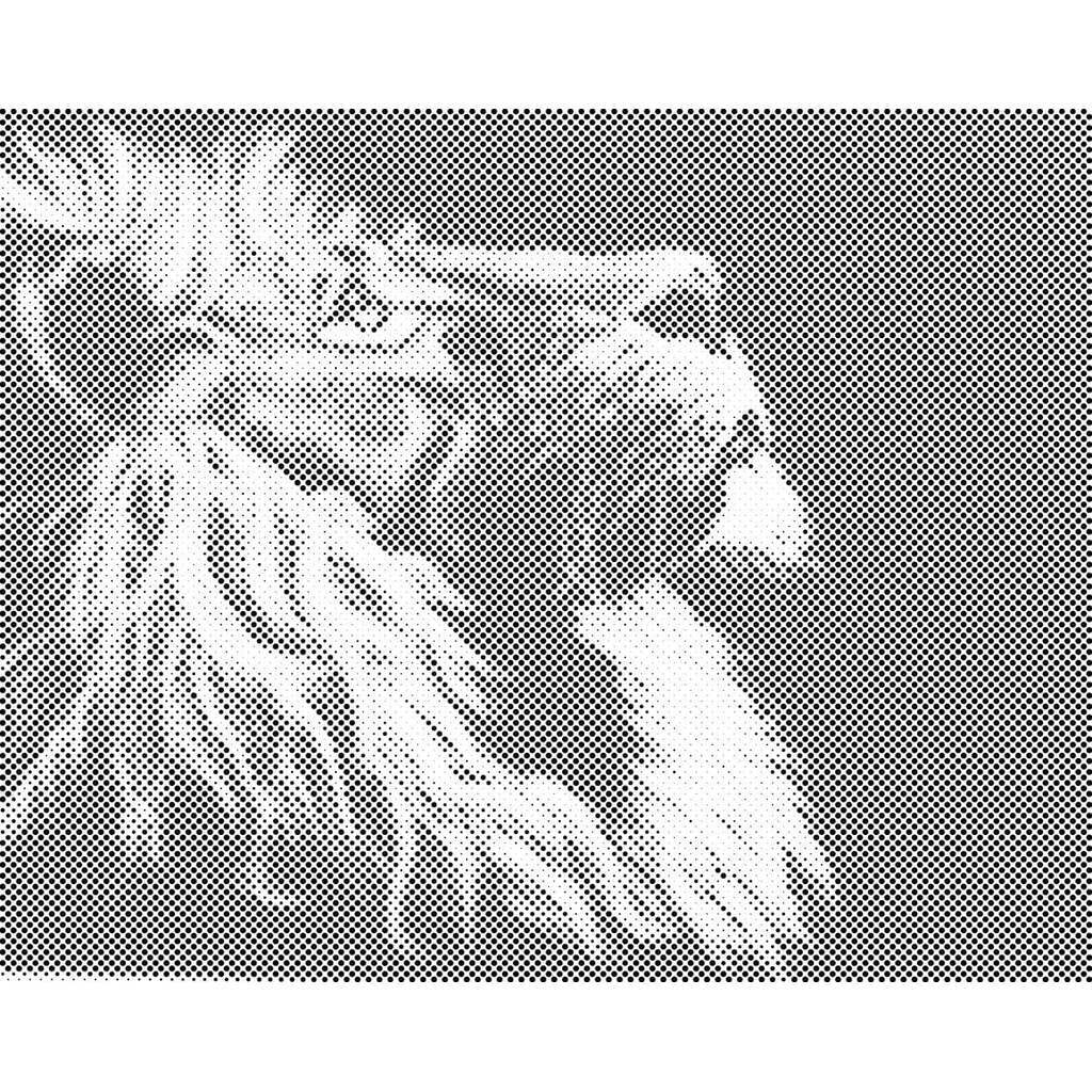 Mal med Prikker - Stolt løve - Uden ramme - 80 x 60 cm