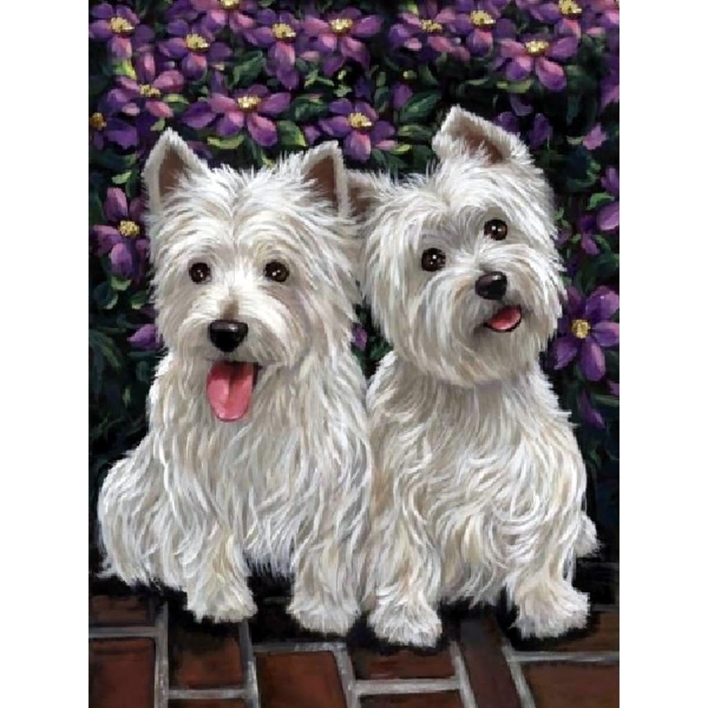2 West Highland White Terrier - Runde sten - 60 x 45 cm - Lærred, sten, pen, bakke, gele, poser til stenene