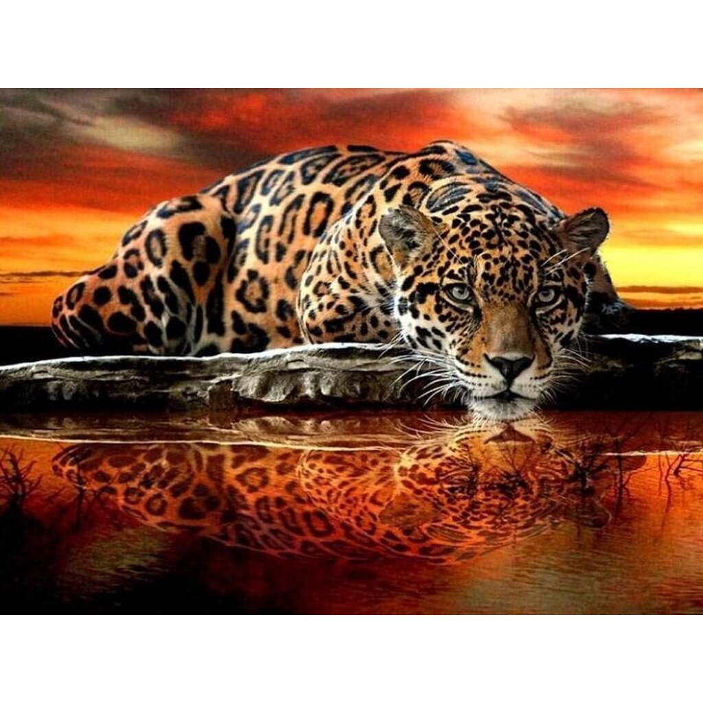 Leopard ved vand - Firkantede sten - 45 x 60 cm - Lærred, sten, pen, bakke, gele