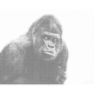 Mal med Prikker - Gorilla - Uden ramme - 40 x 30 cm