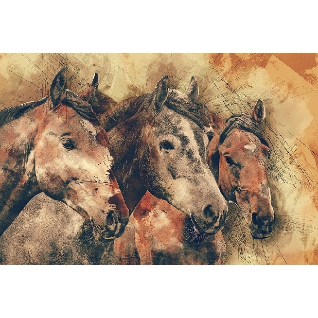 3 heste i tegnet look - Firkantede sten - 60 x 40 cm - Lærred, sten, pen, bakke, gele