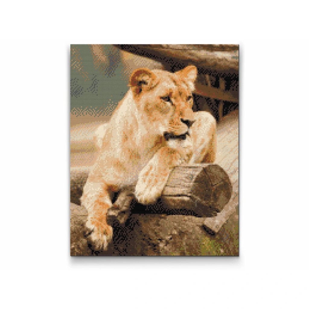 Løvinde - Premium - Firkantede sten - 80 x 100 cm - Lærred, sten, pen, bakke, gele, poser til stenene - med-saml-selv-ramme