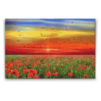 Valmuemark ved solnedgang - Premium - Runde sten - 60 x 40 cm - Lærred, sten, pen, bakke, gele, poser til stenene - med-saml-selv-ramme