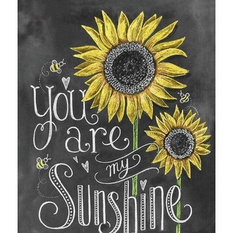 You are my sunshine - Firkantede sten - 50 x 65 cm - Lærred, sten, pen, bakke, gele