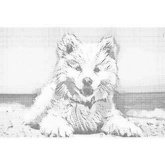 Mal med Prikker - Glad hund - Uden ramme - 120 x 80 cm