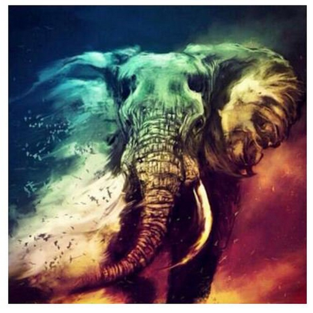 Elefant i blæsevejr - Firkantede sten - 50 x 50 cm - Lærred, sten, pen, bakke, gele, poser til stenene