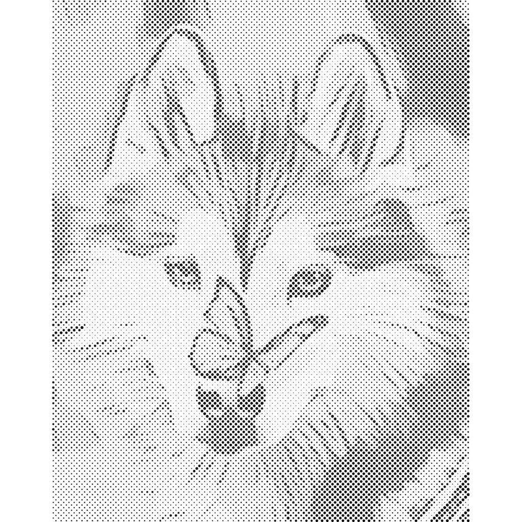 Mal med Prikker - Sommerful og husky - Uden ramme - 30 x 40 cm