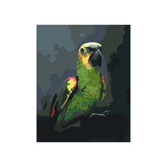 Amazon papegøje - Paint by Numbers Premium - 60 x 80 cm - Med saml-selv-ramme