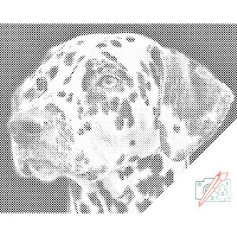 Mal med Prikker - Dalmatiner - Uden ramme - 40 x 30 cm