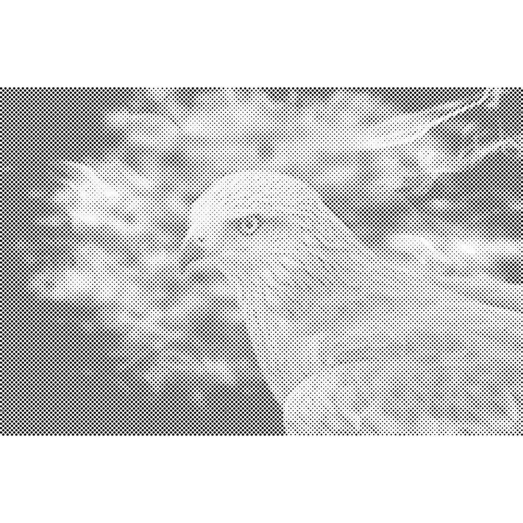 Mal med Prikker - Falk - Uden ramme - 60 x 40 cm