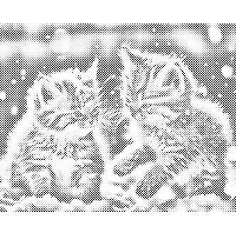 Mal med Prikker - Killinger i sneen - Uden ramme - 40 x 30 cm