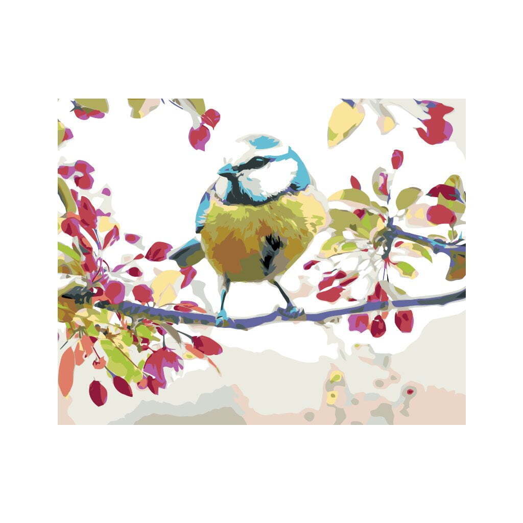 Fugl - Paint by Numbers Premium - 40 x 30 cm - Med saml-selv-ramme