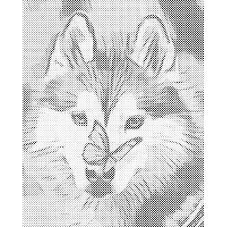Mal med Prikker - Sommerful og husky - Uden ramme - 80 x 100 cm