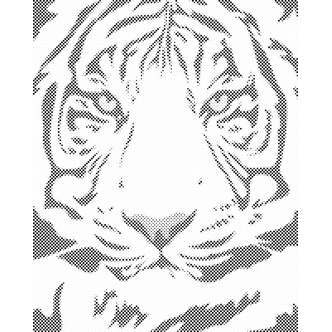 Mal med Prikker - Majestætisk tiger - Uden ramme - 40 x 50 cm