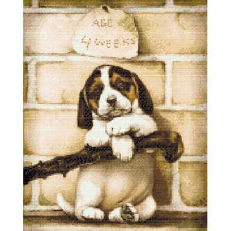 4 uger gammel hvalp - Premium - Runde sten - 80 x 100 cm - Lærred, sten, pen, bakke, gele, poser til stenene - med-saml-selv-ramme