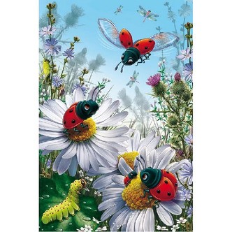 Mariehøner på blomster - Firkantede sten - 40 x 60 cm - Lærred, sten, pen, bakke, gele