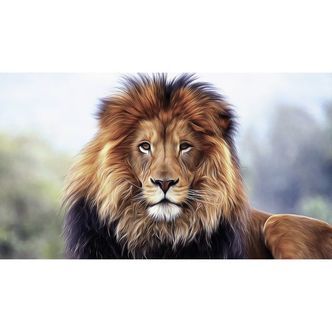 Løve, dyrenes konge - Premium - Runde sten - 120 x 80 cm - Lærred, sten, pen, bakke, gele, poser til stenene - Opspændt på ramme