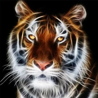 Tiger med sort baggrund - Firkantede sten - 50 x 50 cm - Lærred, sten, pen, bakke, gele