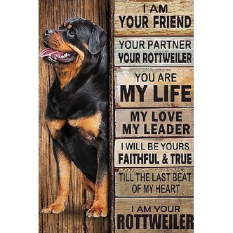 Rottweiler friend - Runde sten - 50 x 75 cm - Lærred, sten, pen, bakke, gele, poser til stenene