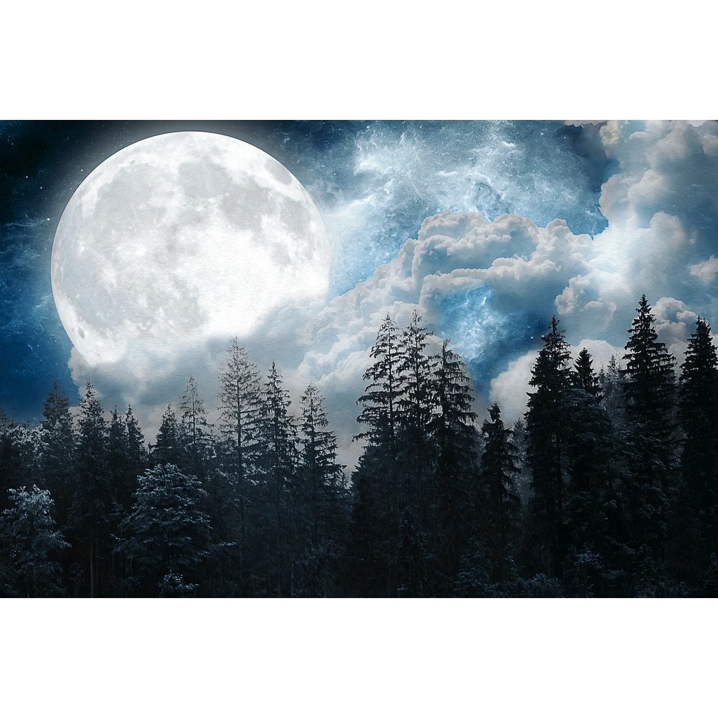 Fuldmåne over skoven - Premium - Runde sten - 60 x 40 cm - Lærred, sten, pen, bakke, gele, poser til stenene - med-saml-selv-ramme