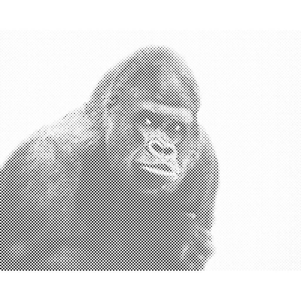 Mal med Prikker - Gorilla - Uden ramme - 80 x 60 cm