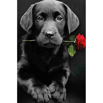 Sort labrador med rose - Firkantede sten - 40 x 60 cm - Lærred, sten, pen, bakke, gele