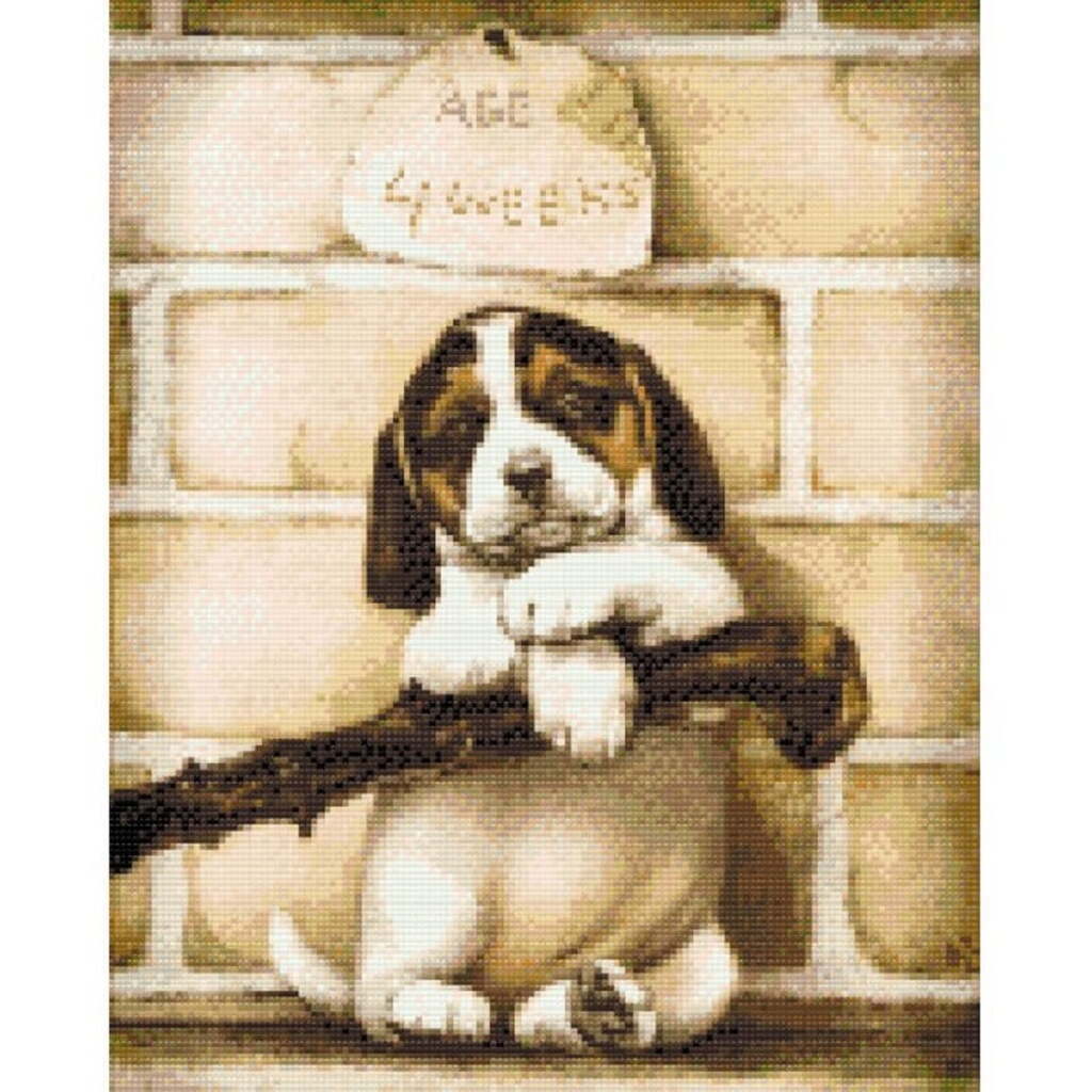 4 uger gammel hvalp - Premium - Runde sten - 30 x 40 cm - Lærred, sten, pen, bakke, gele, poser til stenene - med-saml-selv-ramme