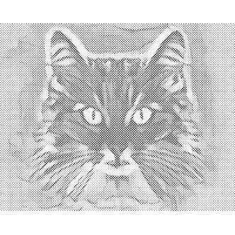 Mal med Prikker - Intens kat - Opspændt på ramme - 40 x 30 cm