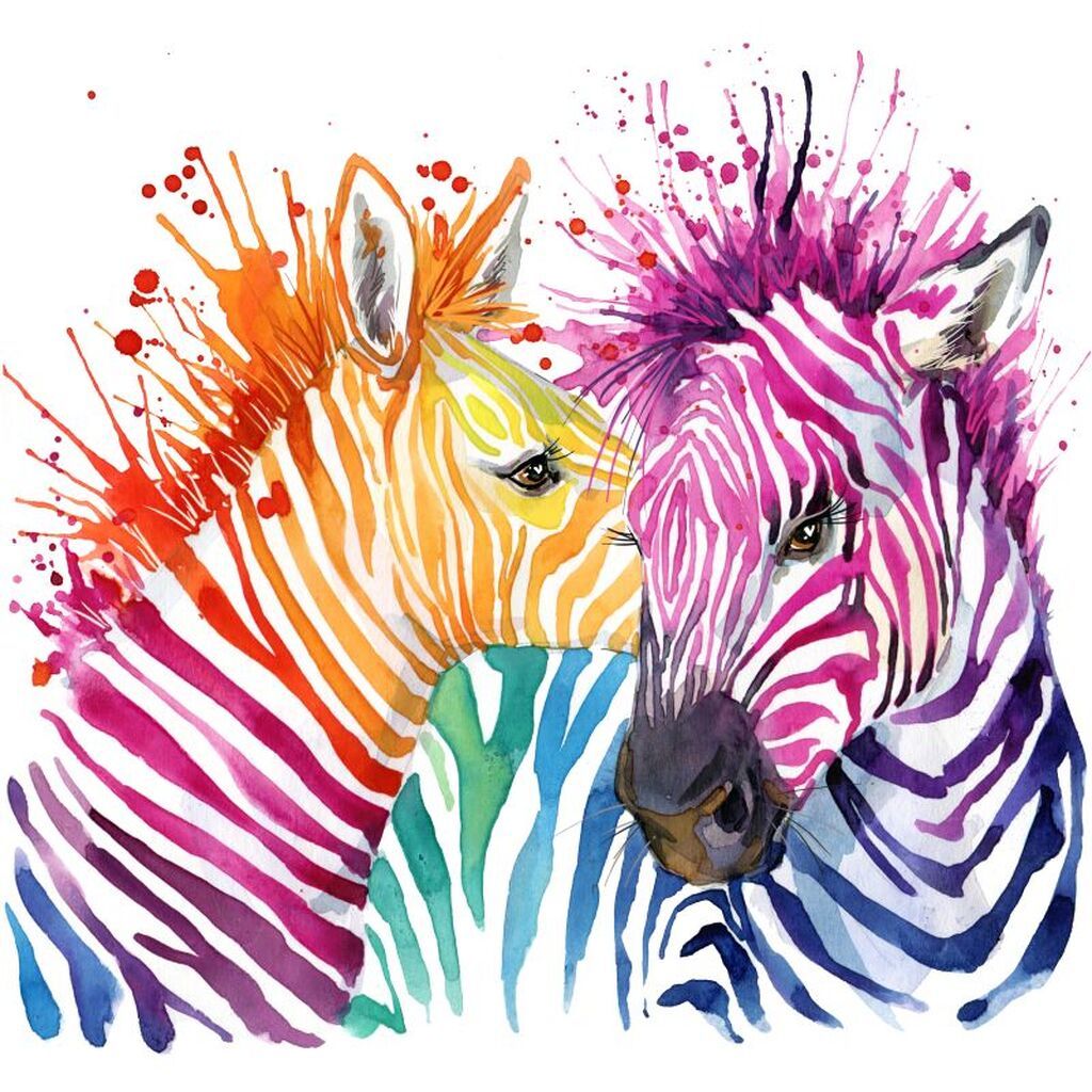 Farverige zebraer - Firkantede sten - 50 x 50 cm - Lærred, sten, pen, bakke, gele