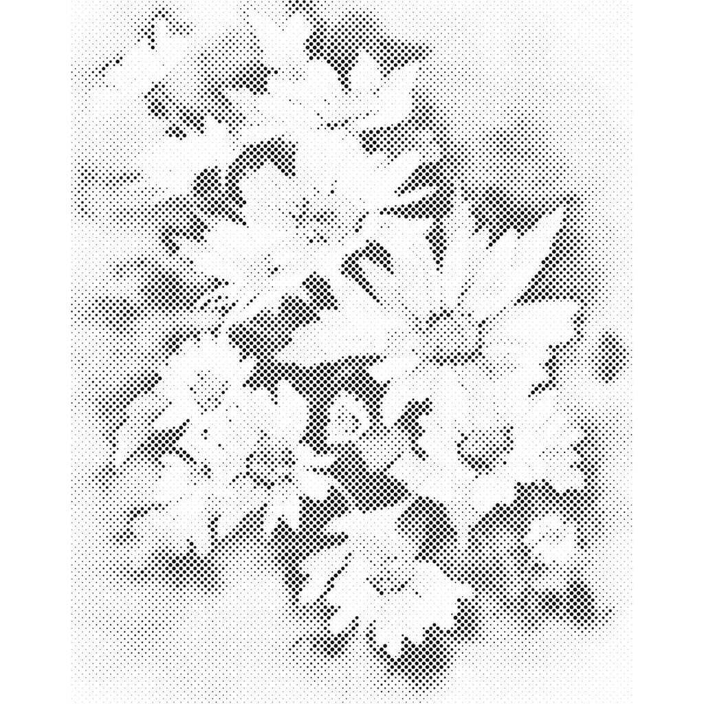 Mal med Prikker - Smukke hvide blomster - Uden ramme - 40 x 50 cm
