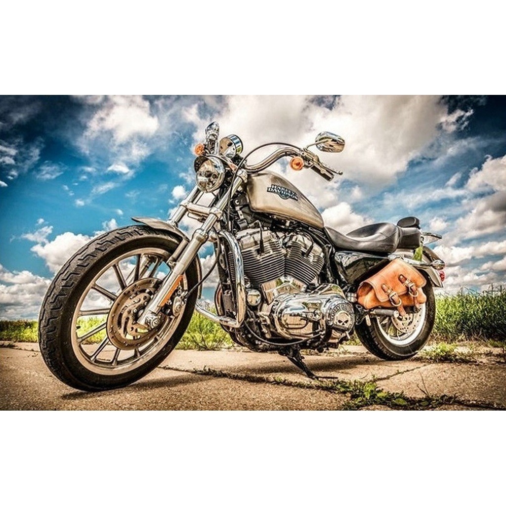 Harley Davidson - Firkantede sten - 50 x 80 cm - Lærred, sten, pen, bakke, gele