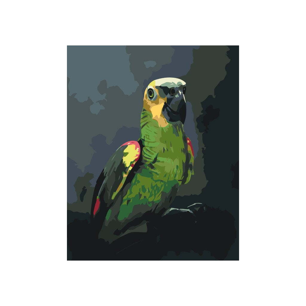 Amazon papegøje - Paint by Numbers Premium - 60 x 80 cm - Uden ramme