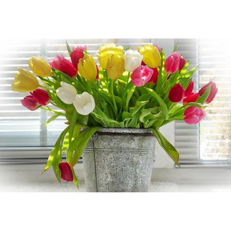 Spand med tulipaner - Runde sten - 60 x 40 cm - Lærred, sten, pen, bakke, gele