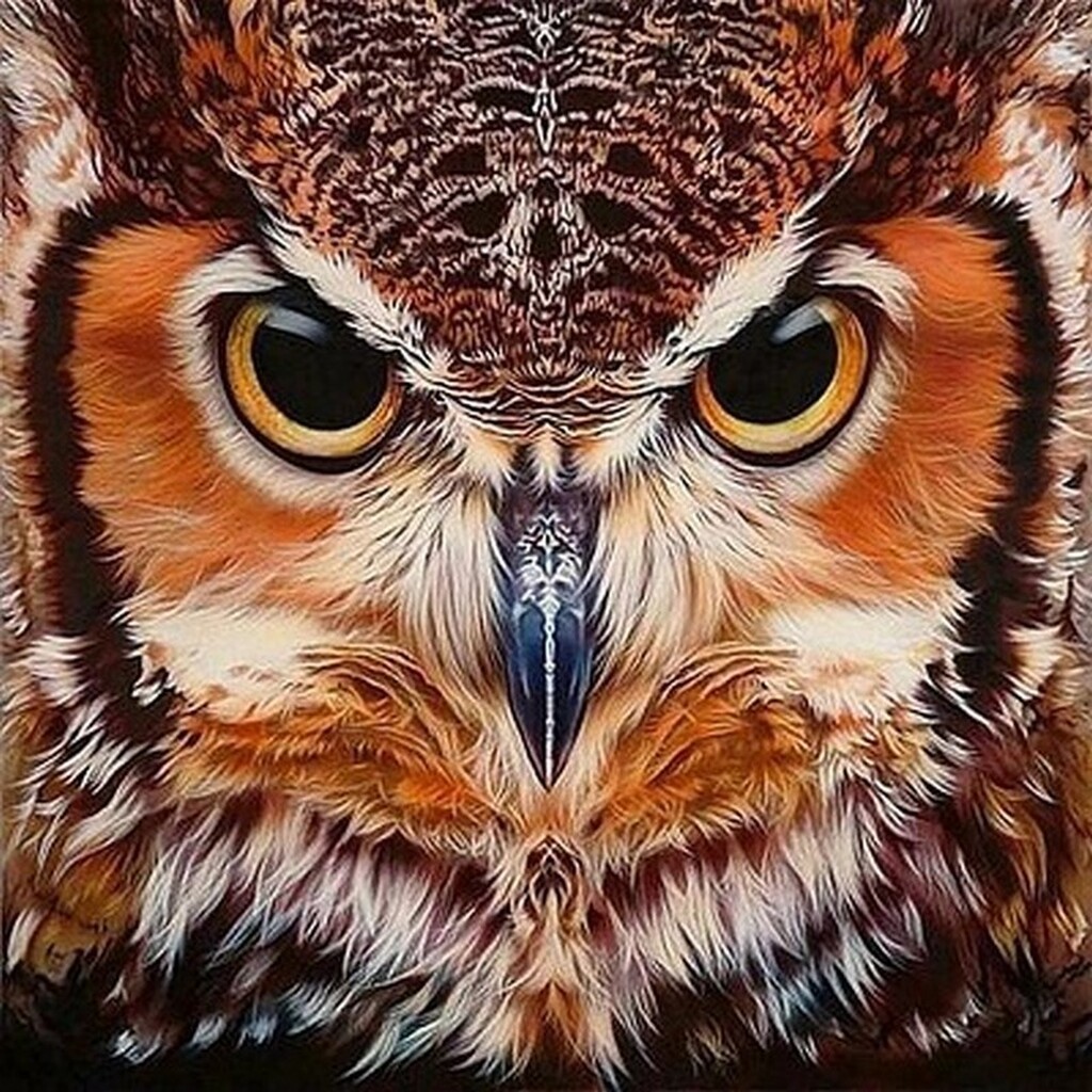 Ugle tæt på - Firkantede sten - 40 x 40 cm - Lærred, sten, pen, bakke, gele