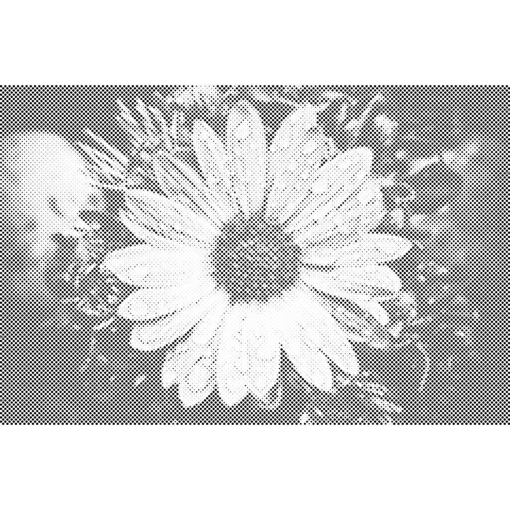 Mal med Prikker - Dråber på blomst - Uden ramme - 120 x 80 cm