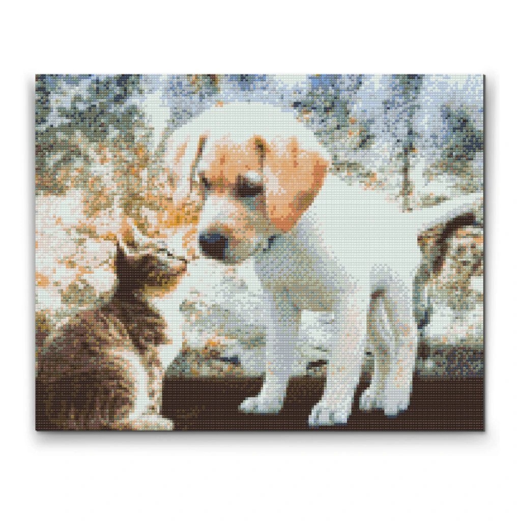 Hundehvalp og killing - Premium - Firkantede sten - 80 x 60 cm - Lærred, sten, pen, bakke, gele, poser til stenene - Med saml-selv-ramme
