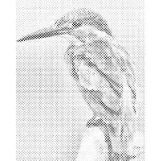 Mal med Prikker - Isfugl - Opspændt på ramme - 40 x 50 cm
